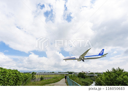 夏の大阪空港（伊丹空港）　着陸中の飛行機　大阪府豊中市 116050683