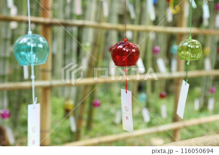 神社のガラス風鈴 116050694