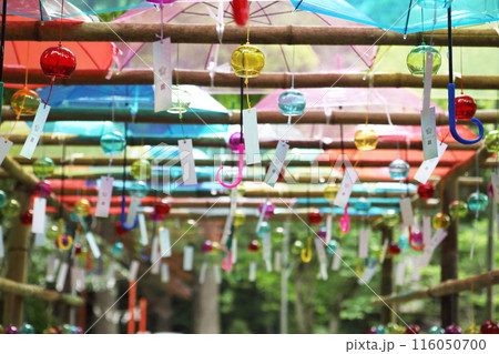 神社のガラス風鈴 116050700