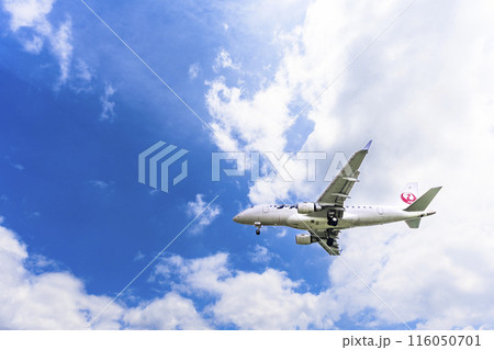 夏の大阪空港(伊丹空港) 着陸中の飛行機 大阪府豊中市 夏の大阪空港(伊丹空港) 着陸中の飛行機 大阪府豊中市 116050701