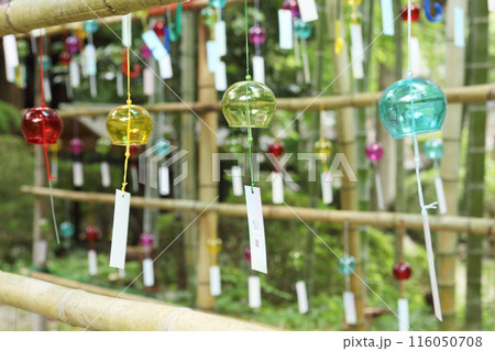 神社のガラス風鈴 116050708