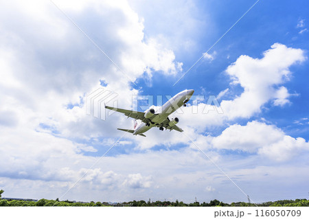 夏の大阪空港（伊丹空港）　着陸中の飛行機　大阪府豊中市 116050709