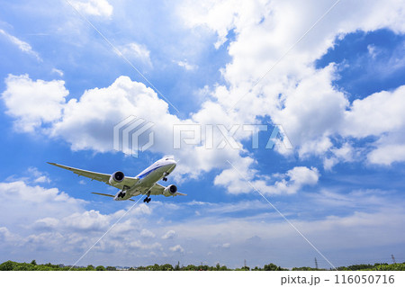夏の大阪空港(伊丹空港) 着陸中の飛行機 大阪府豊中市 夏の大阪空港(伊丹空港) 着陸中の飛行機 大阪府豊中市 116050716
