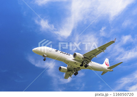 夏の大阪空港（伊丹空港）　着陸中の飛行機　大阪府豊中市 116050720