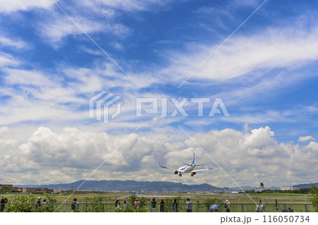 夏の大阪空港（伊丹空港）　着陸中の飛行機　大阪府豊中市 116050734