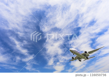 夏の大阪空港(伊丹空港) 着陸中の飛行機 大阪府豊中市 夏の大阪空港(伊丹空港) 着陸中の飛行機 大阪府豊中市 116050736