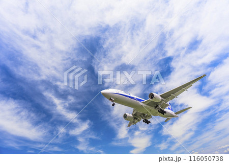 夏の大阪空港(伊丹空港) 着陸中の飛行機 大阪府豊中市 夏の大阪空港(伊丹空港) 着陸中の飛行機 大阪府豊中市 116050738