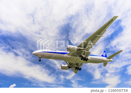 夏の大阪空港(伊丹空港) 着陸中の飛行機 大阪府豊中市 夏の大阪空港(伊丹空港) 着陸中の飛行機 大阪府豊中市 116050739