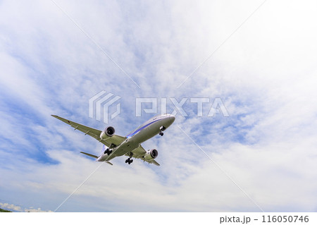 夏の大阪空港(伊丹空港) 着陸中の飛行機 大阪府豊中市 夏の大阪空港(伊丹空港) 着陸中の飛行機 大阪府豊中市 116050746