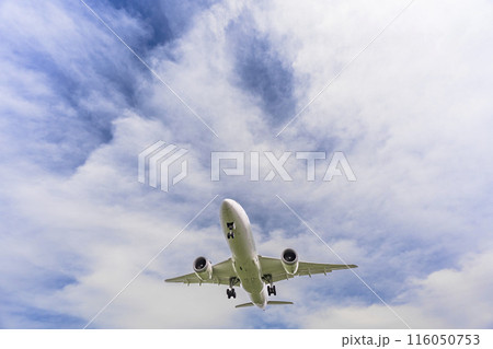 夏の大阪空港(伊丹空港) 着陸中の飛行機 大阪府豊中市 夏の大阪空港(伊丹空港) 着陸中の飛行機 大阪府豊中市 116050753