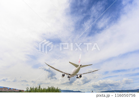 夏の大阪空港（伊丹空港）　着陸中の飛行機　大阪府豊中市 116050756