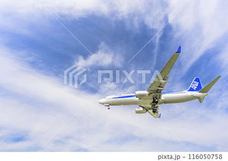夏の大阪空港(伊丹空港) 着陸中の飛行機 大阪府豊中市 夏の大阪空港(伊丹空港) 着陸中の飛行機 大阪府豊中市 116050758