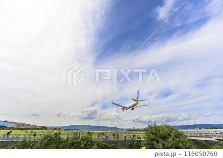 夏の大阪空港(伊丹空港) 着陸中の飛行機 大阪府豊中市 夏の大阪空港(伊丹空港) 着陸中の飛行機 大阪府豊中市 116050760