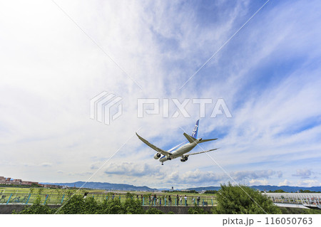 夏の大阪空港（伊丹空港）　着陸中の飛行機　大阪府豊中市 116050763
