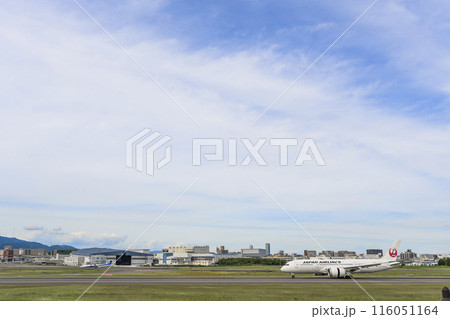 夏の大阪空港(伊丹空港) 着陸中の飛行機 大阪府豊中市 夏の大阪空港(伊丹空港) 着陸中の飛行機 大阪府豊中市 116051164