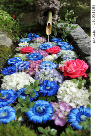 神社の花手水 116051198