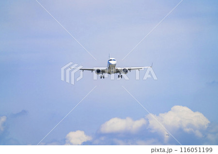 夏の大阪空港（伊丹空港）　着陸中の飛行機　正面　大阪府豊中市 116051199