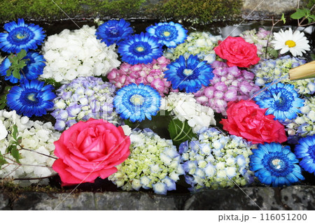 神社の花手水 116051200