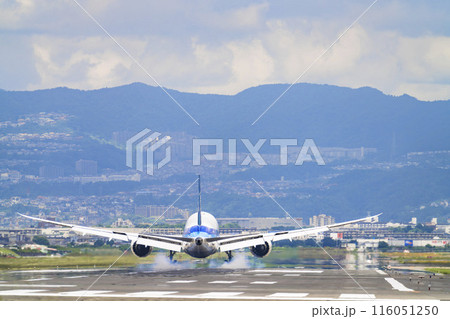 夏の大阪空港(伊丹空港) 着陸中の飛行機 大阪府豊中市 夏の大阪空港(伊丹空港) 着陸中の飛行機 大阪府豊中市 116051250