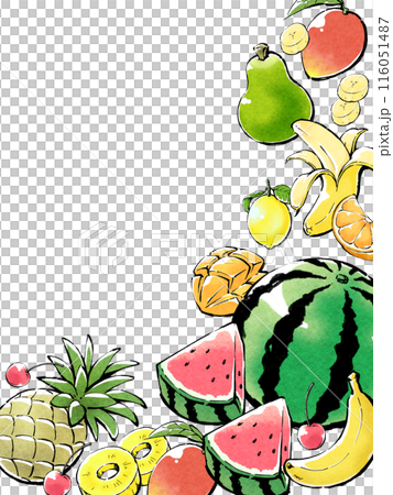 夏季熱帶水果手繪風格相框素材 夏季熱帶水果手繪風格相框素材 116051487