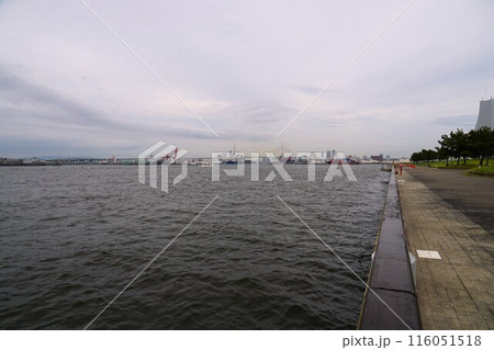 コスモスクエア海浜緑地から見る大阪港の風景 コスモスクエア海浜緑地から見る大阪港の風景 116051518