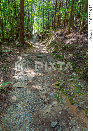 奈良県　山の辺の道の山間部 116052050