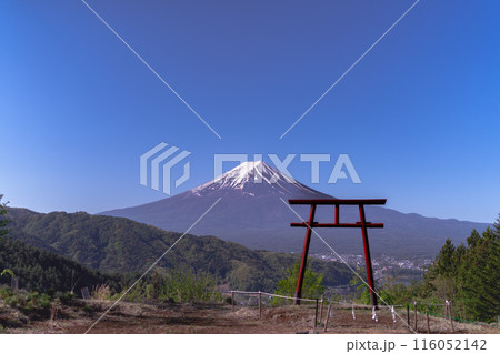 富士山をまつる神社でお参りする女性 富士山をまつる神社でお参りする女性 116052142