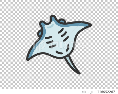 マンタのアイコン(線画カラー)のイラスト マンタのアイコン(線画カラー)のイラスト 116052267