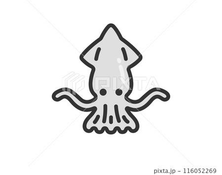 イカのアイコン（線画カラー）のイラスト 116052269
