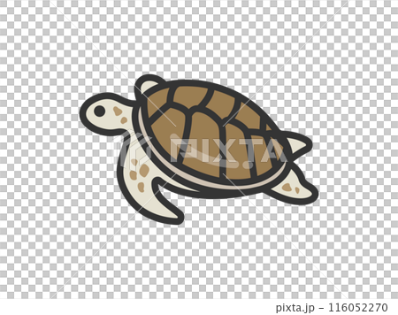 ウミガメのアイコン（線画カラー）のイラスト 116052270