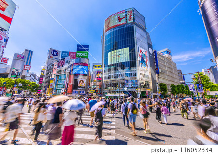 日本の東京都市景観 6月。インバウンド復活…賑わう渋谷スクランブル交差点などを望む＝19日 116052334