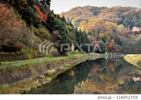 紅葉の映り込み、秋の風景 紅葉の映り込み、秋の風景 116052359