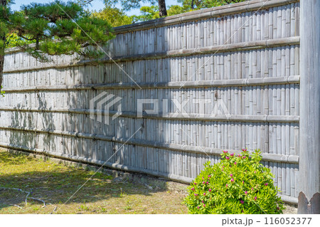 京都市　二条城の竹垣 116052377