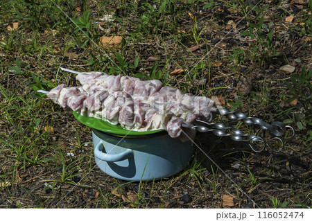 Pieces of fresh meat strung on a skewer lie on a plate 116052474