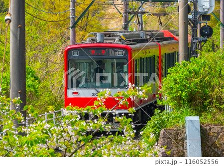 箱根登山電車　2000形 116052556