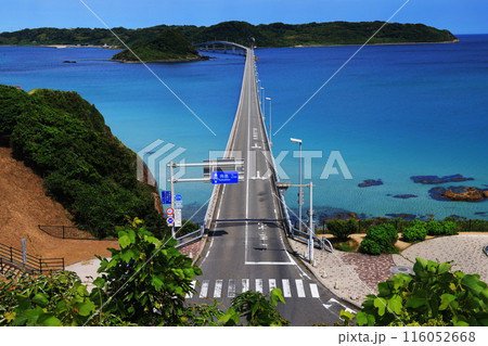 角島大橋1182+ 角島大橋1182+ 116052668