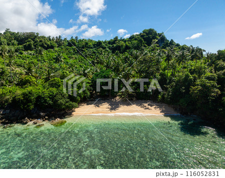Aerial view of small beach with coconut trees and waves. Romblon, Romblon. Philippines. Aerial view of small beach with coconut trees and waves. Romblon, Romblon. Philippines. 116052831