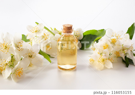 Jasmine essential and Jasmine flowers on white background. Hair treatment concept. Close up 116053155