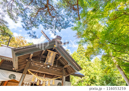 春日山神社　上杉神社より分霊され上杉謙信公を祭神に祀った神社　記念館には謙信公の遺品・資料などが展示 116053259