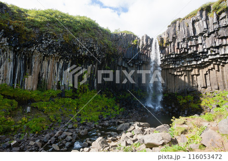 Svartifoss falls in summer season view, Iceland 116053472