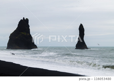 Reynisfjara lava beach view, south Iceland landscape Reynisfjara lava beach view, south Iceland landscape 116053480