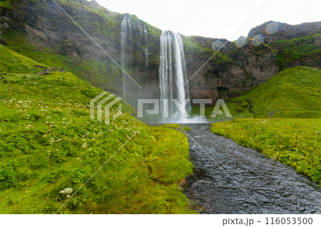 Seljalandsfoss falls in summer season view, Iceland 116053500