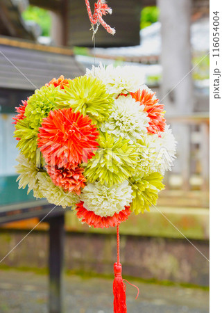 揚谷寺 紫陽花の寺 01 揚谷寺 紫陽花の寺 01 116054004
