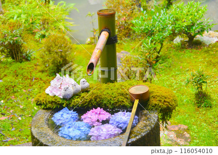 揚谷寺　紫陽花の寺　07 116054010