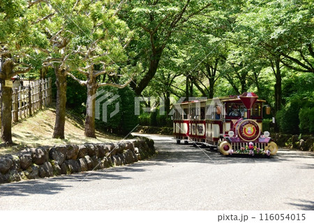 神奈川県立あいかわ公園のロードトレインと周遊路 116054015