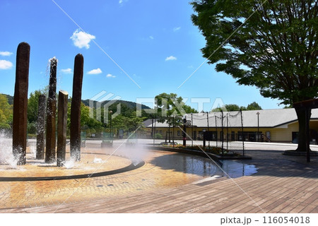神奈川県立あいかわ公園の中央広場とパークセンター 神奈川県立あいかわ公園の中央広場とパークセンター 116054018
