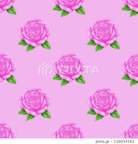 floral seamless pattern with pink roses 116054162