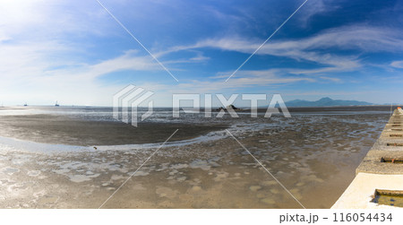青空と干潟景色に映える風流島（たわれじま） 枕草子や伊勢物語に登場した島(熊本県・住吉自然公園) 116054434