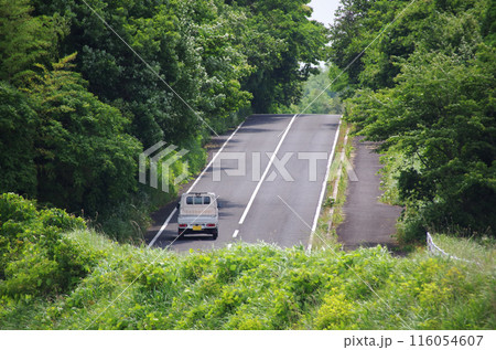 新緑の坂道を抜ける軽トラック 新緑の坂道を抜ける軽トラック 116054607