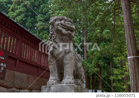 青森 岩木山神社 拝殿前の狛犬 116055071